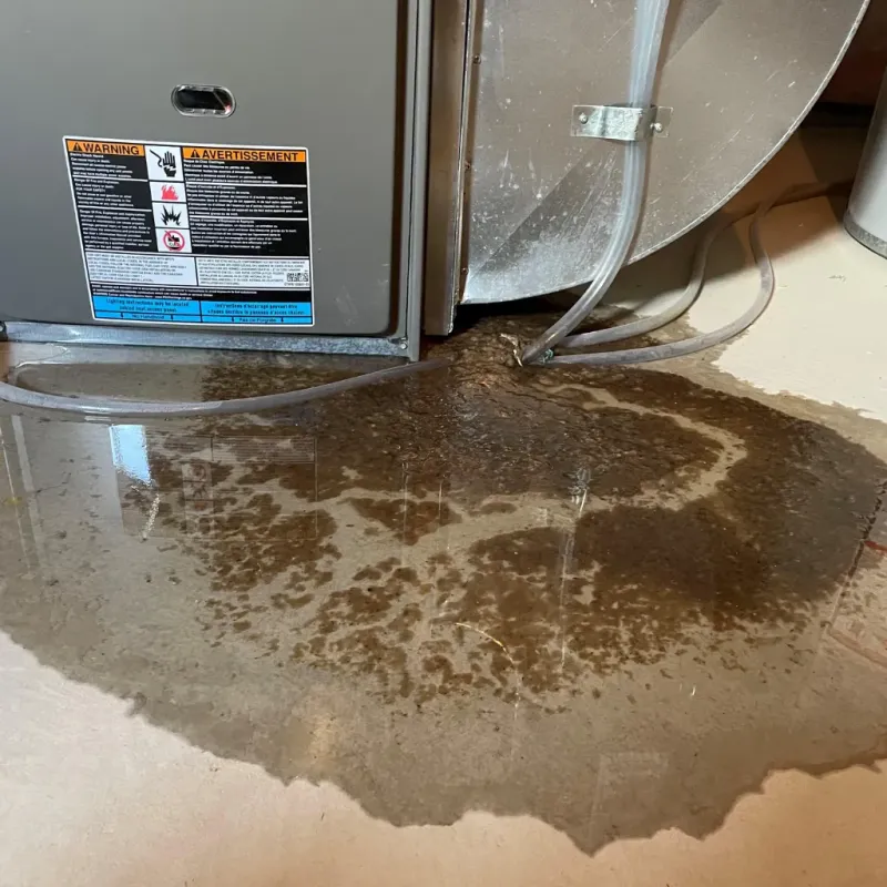 Appliance Leak Cleanup in Ivins, UT